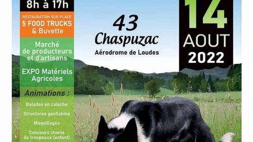 FINALE NATIONALE Chiens de troupeaux