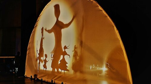 CINE CONCERT "A L'OMBRE DES ETOILES"
