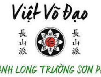 VIET VO DAO