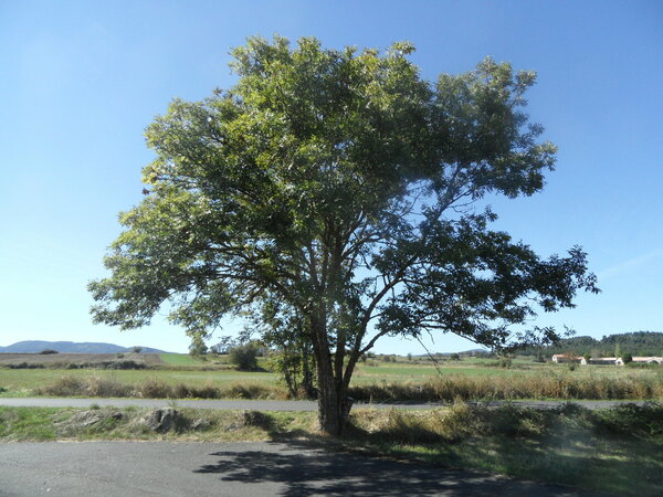 Sur la route...