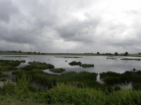 Etang tout proche de Fontannes